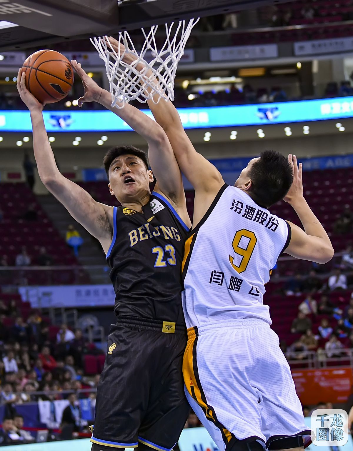 波普的动作 波普的动作