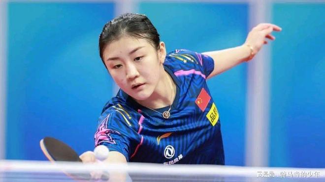 内的盗贼 内的盗贼