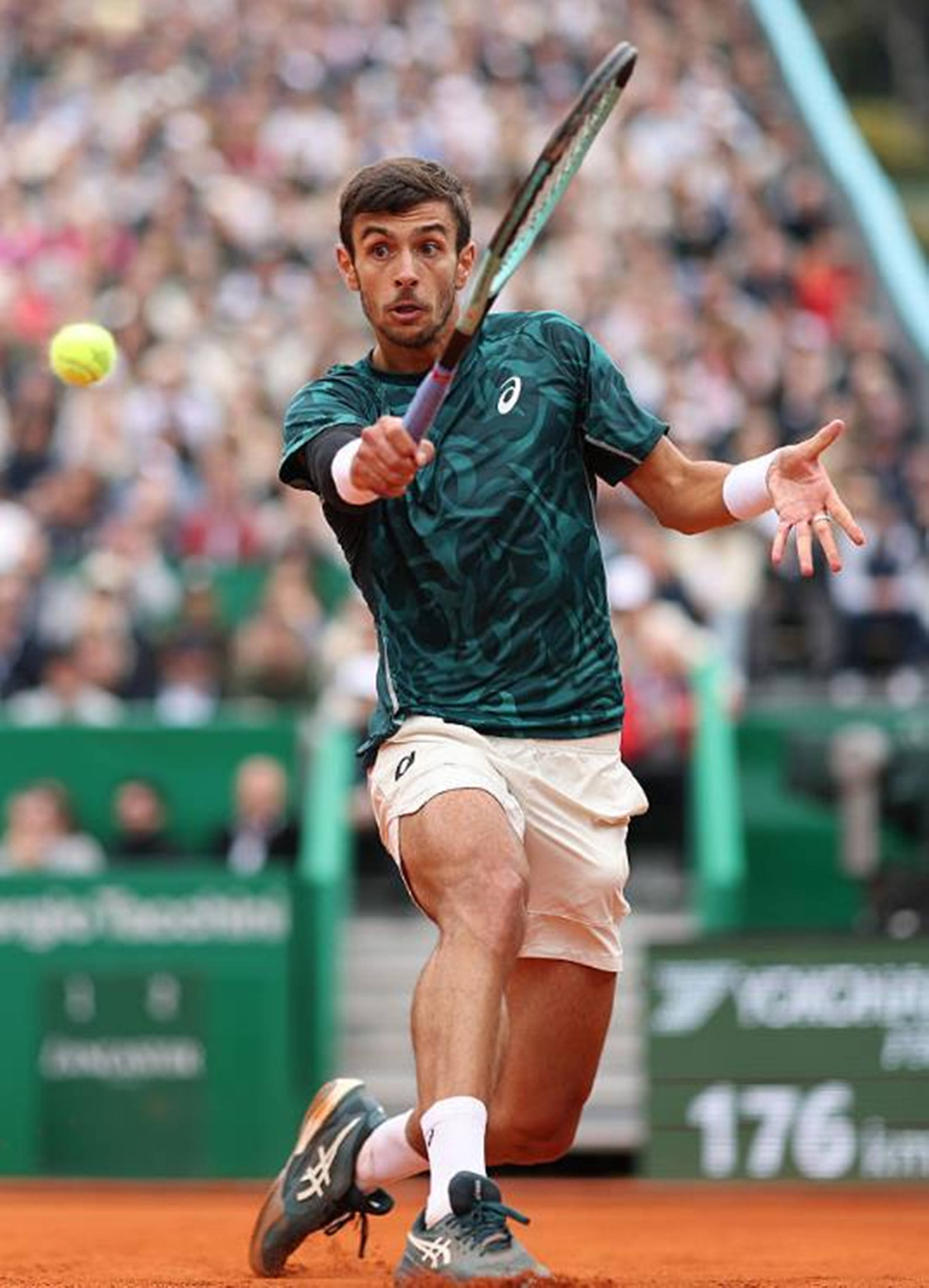 中场新星领 中场新星领