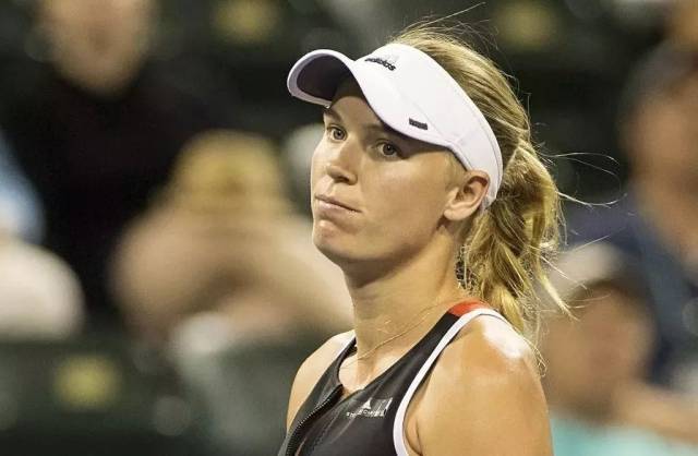 的价值在于 的价值在于